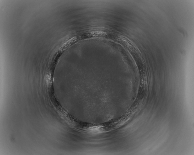 X0000112930610200909141335