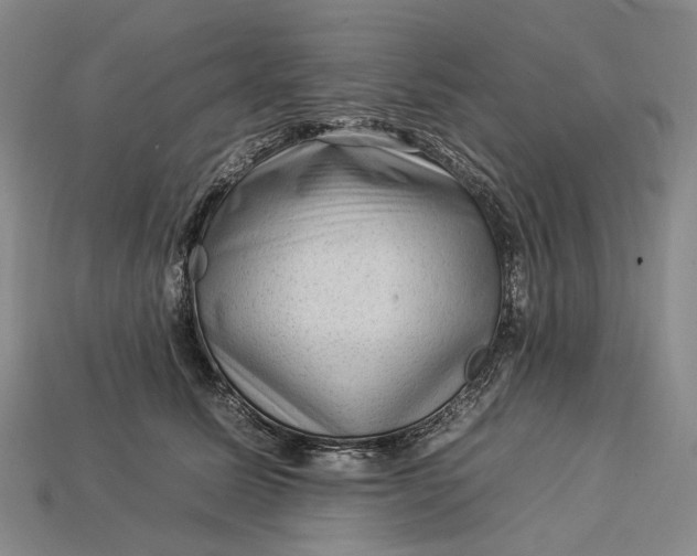 X0000112930611200909141335