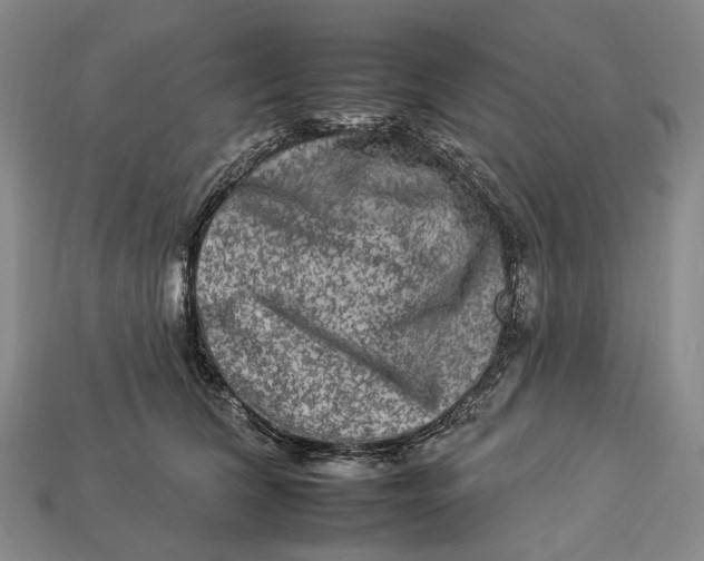 X0000112930612200909141335