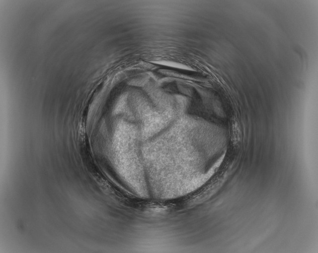 X0000112930613200909141335