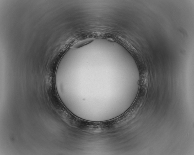 X0000112930615200909141335