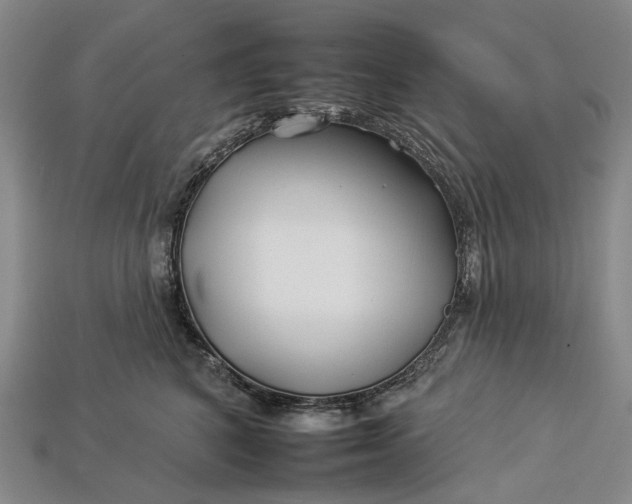 X0000112930616200909141335