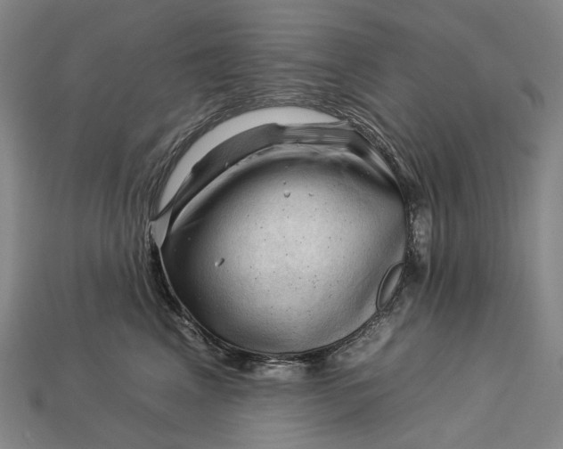 X0000112930617200909141335