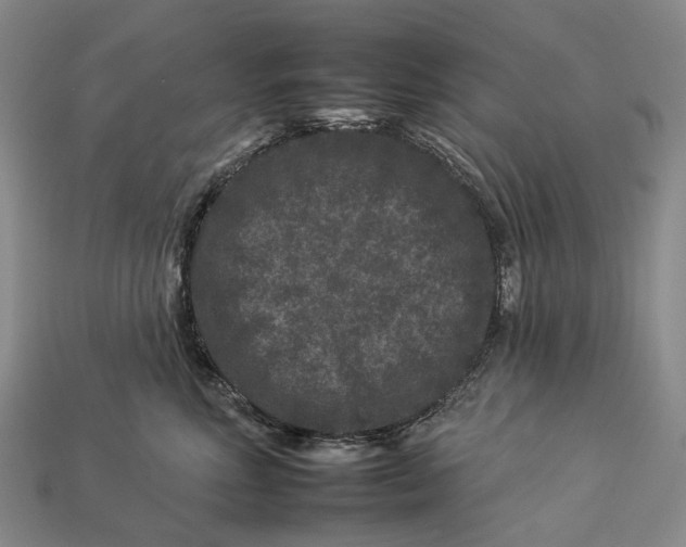 X0000112930618200909141335