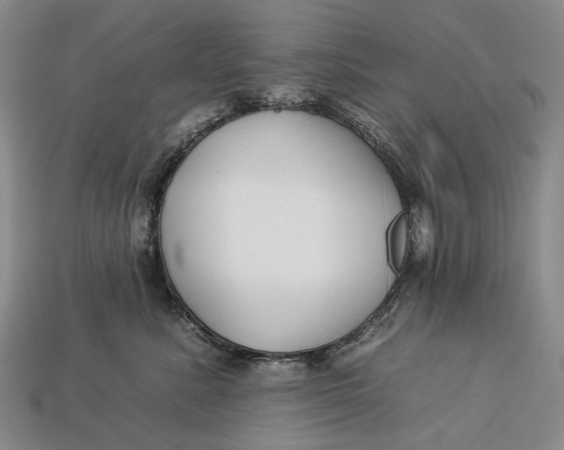 X0000112930619200909141335