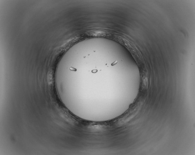 X0000112930620200909141335