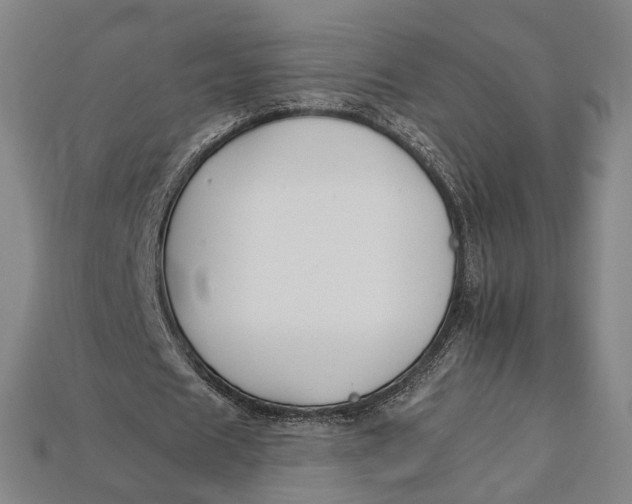 X0000112930625200909141334