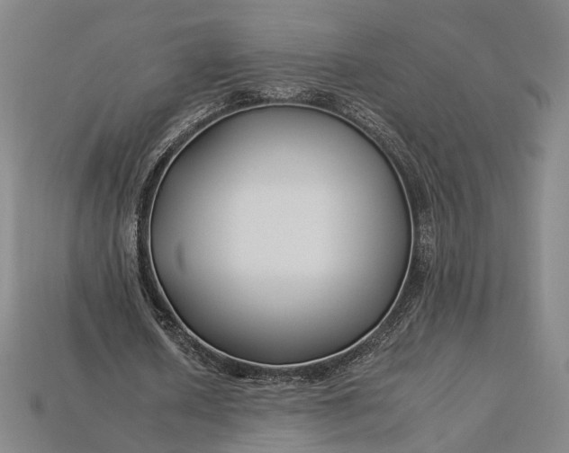 X0000112930626200909141334