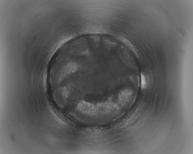 X0000112930627200909141334