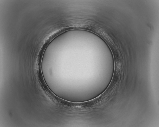 X0000112930628200909141334