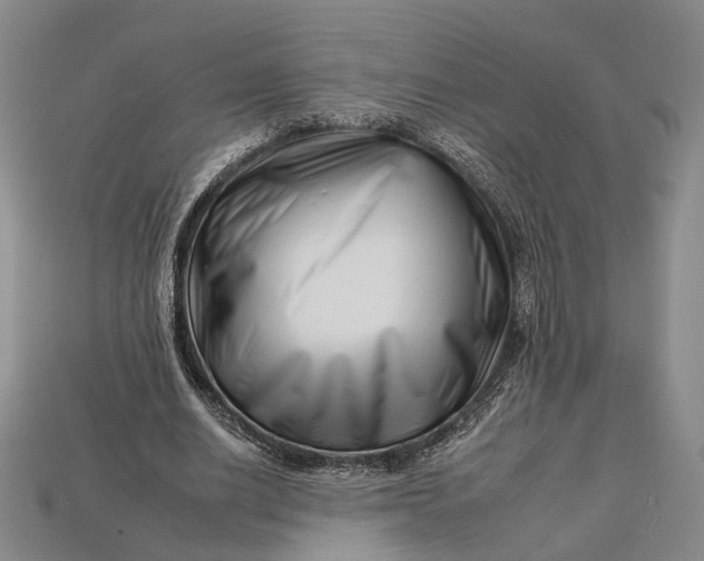 X0000112930630200909141334