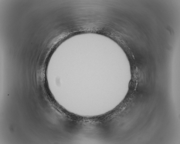 X0000112930632200909141334