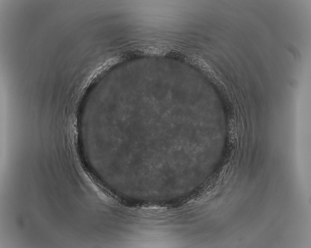 X0000112930634200909141334