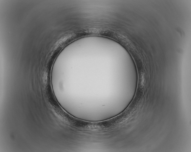 X0000112930636200909141334