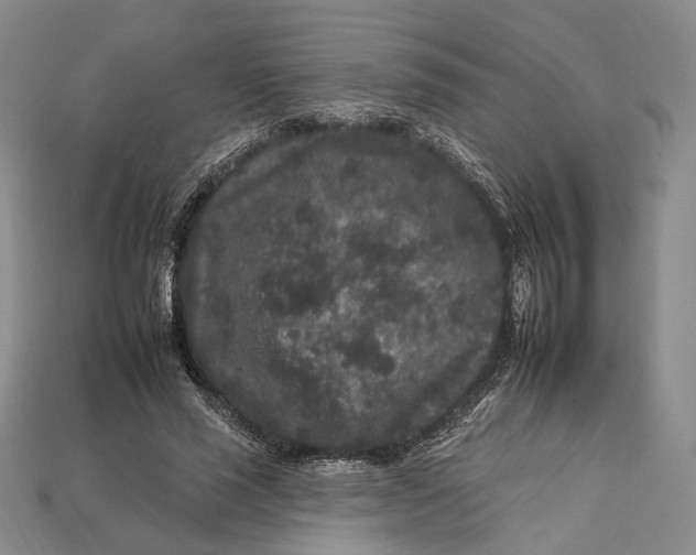 X0000112930637200909141334