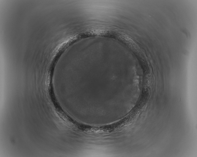 X0000112930640200909141334