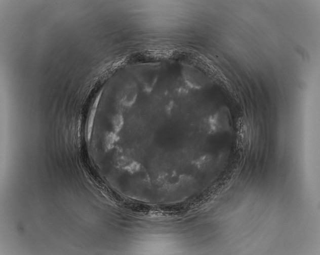 X0000112930641200909141334