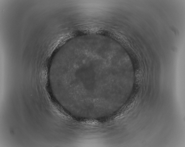 X0000112930642200909141334