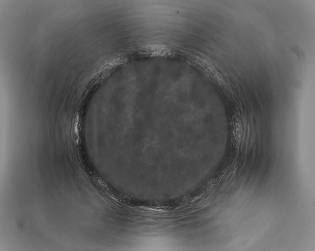 X0000112930643200909141334