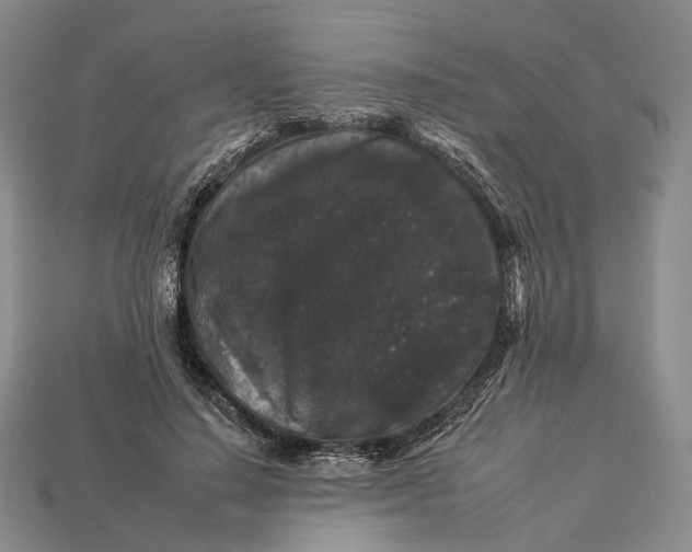 X0000112930644200909141334