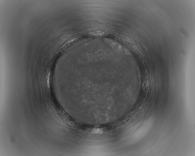 X0000112930647200909141334