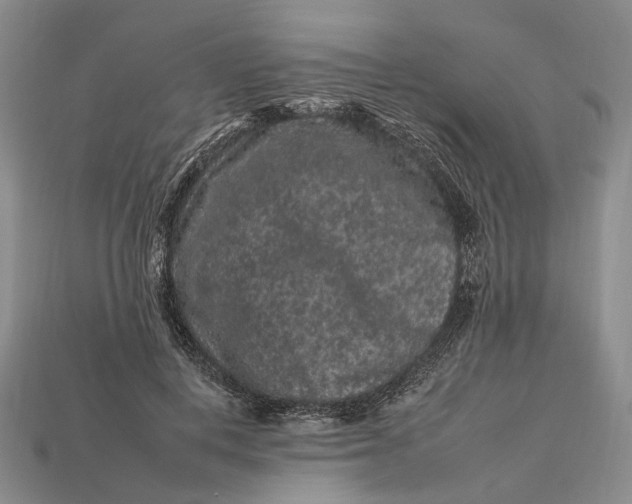 X0000112930648200909141334