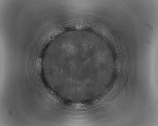 X0000112930650200909141334