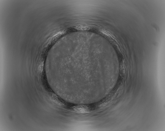 X0000112930652200909141334