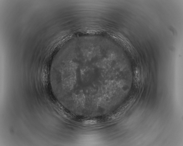 X0000112930653200909141334