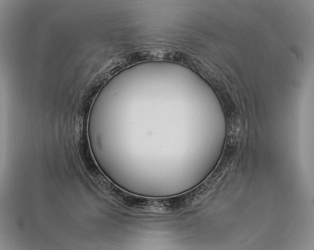 X0000112930656200909141334