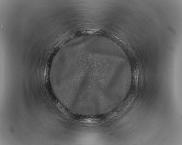 X0000112930657200909141334