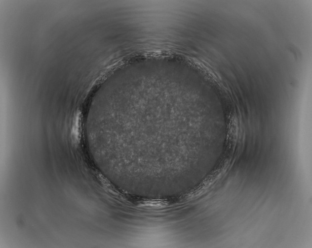 X0000112930659200909141334