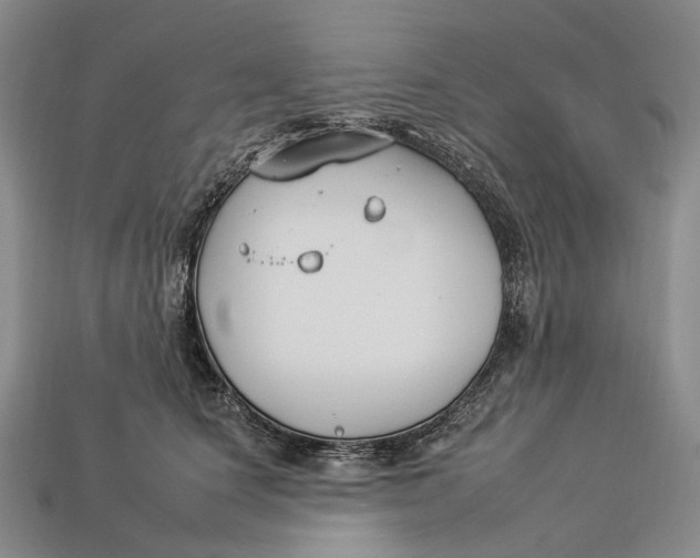 X0000112930660200909141335