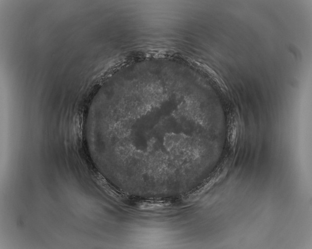 X0000112930661200909141335