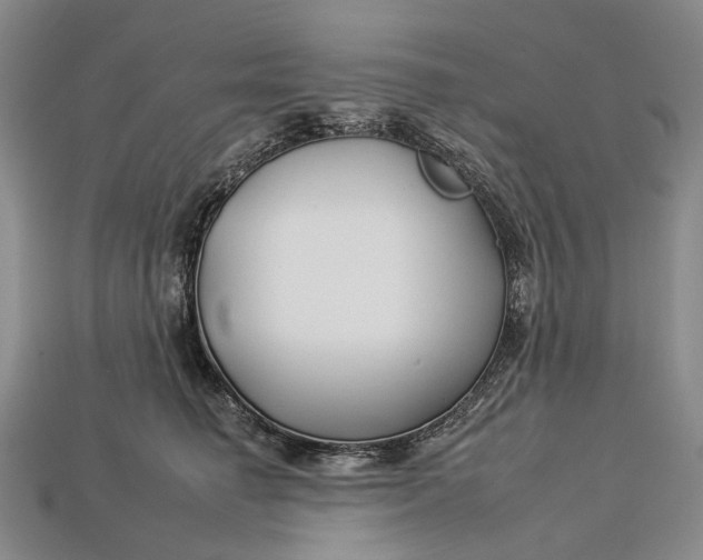 X0000112930662200909141335