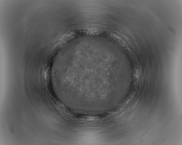 X0000112930663200909141335