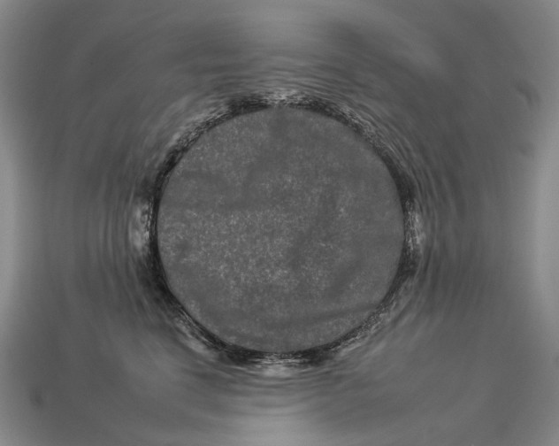 X0000112930664200909141335