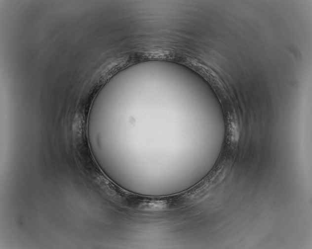 X0000112930665200909141335