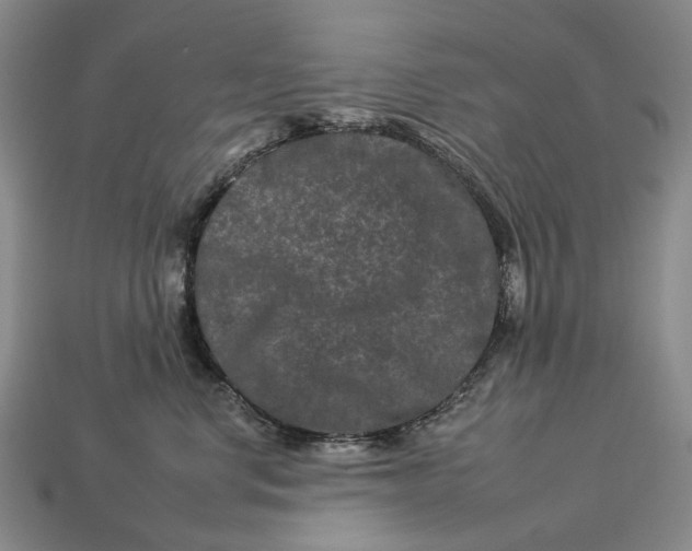 X0000112930668200909141335