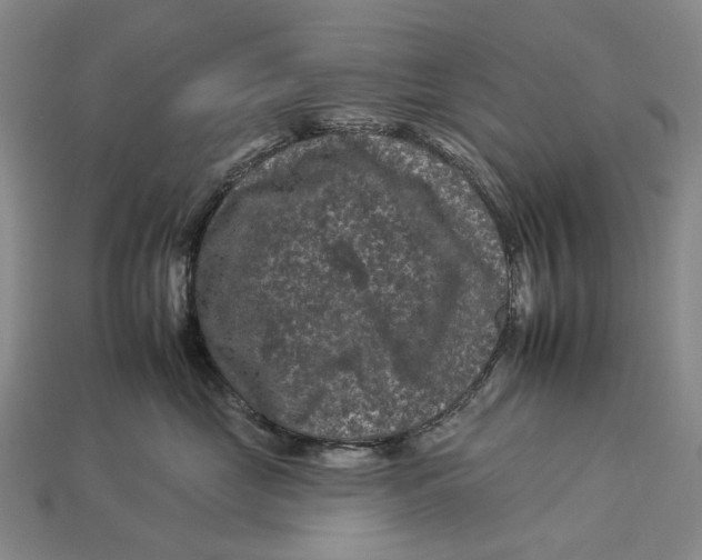 X0000112930669200909141335