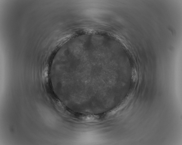 X0000112930670200909141335