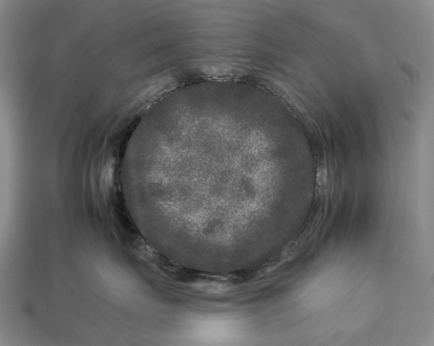 X0000112930671200909141335