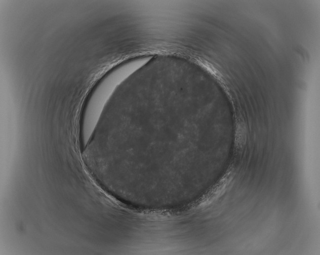 X0000112930673200909141334