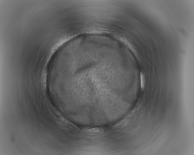 X0000112930675200909141334