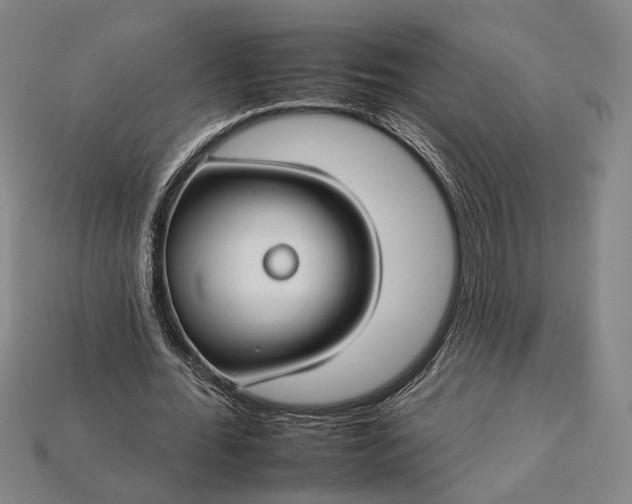 X0000112930676200909141334