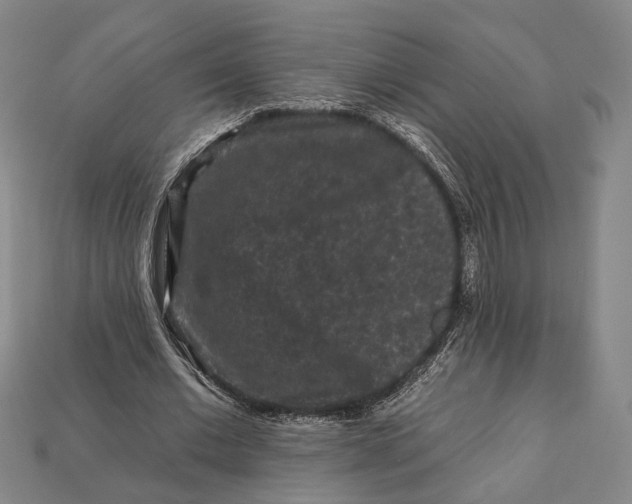 X0000112930677200909141334