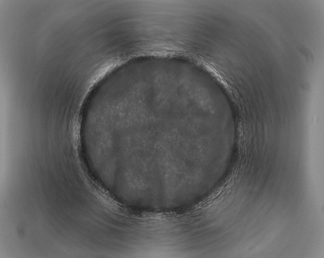 X0000112930679200909141334