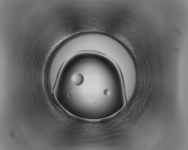 X0000112930680200909141334