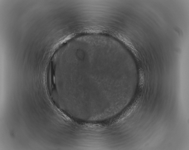 X0000112930681200909141334