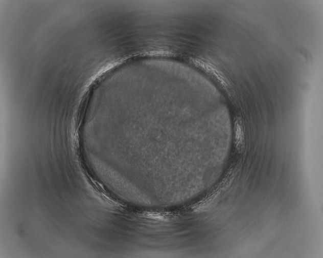 X0000112930684200909141334